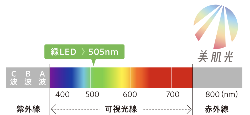 肌の明るさ・透明感に関係する「505nm」のブルーグリーンの波長