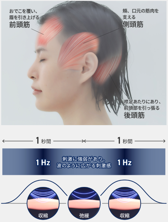 スカルプダイナミックEMS