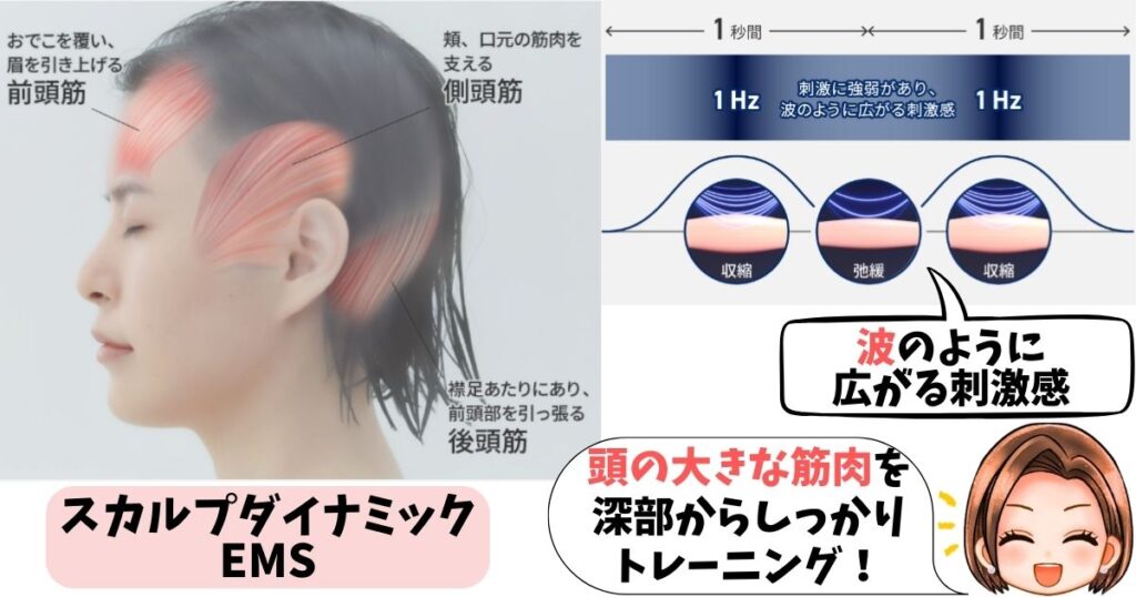 パナソニックのスカルプダイナミックEMS